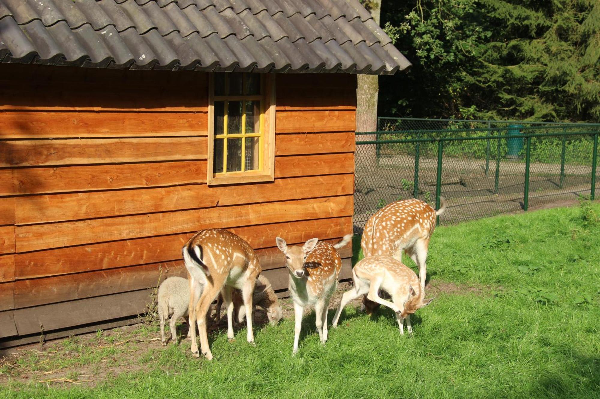 Molecaten Park De Leemkule 하텀 외부 사진