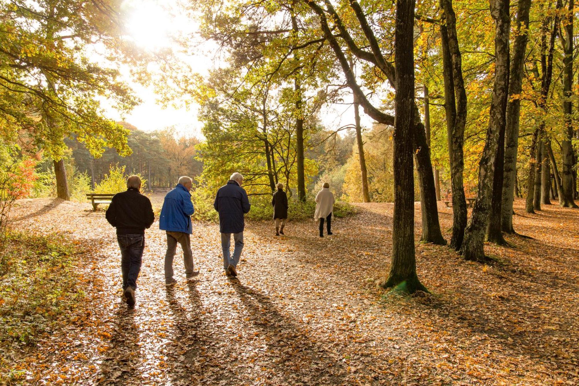 Molecaten Park De Leemkule 하텀 외부 사진