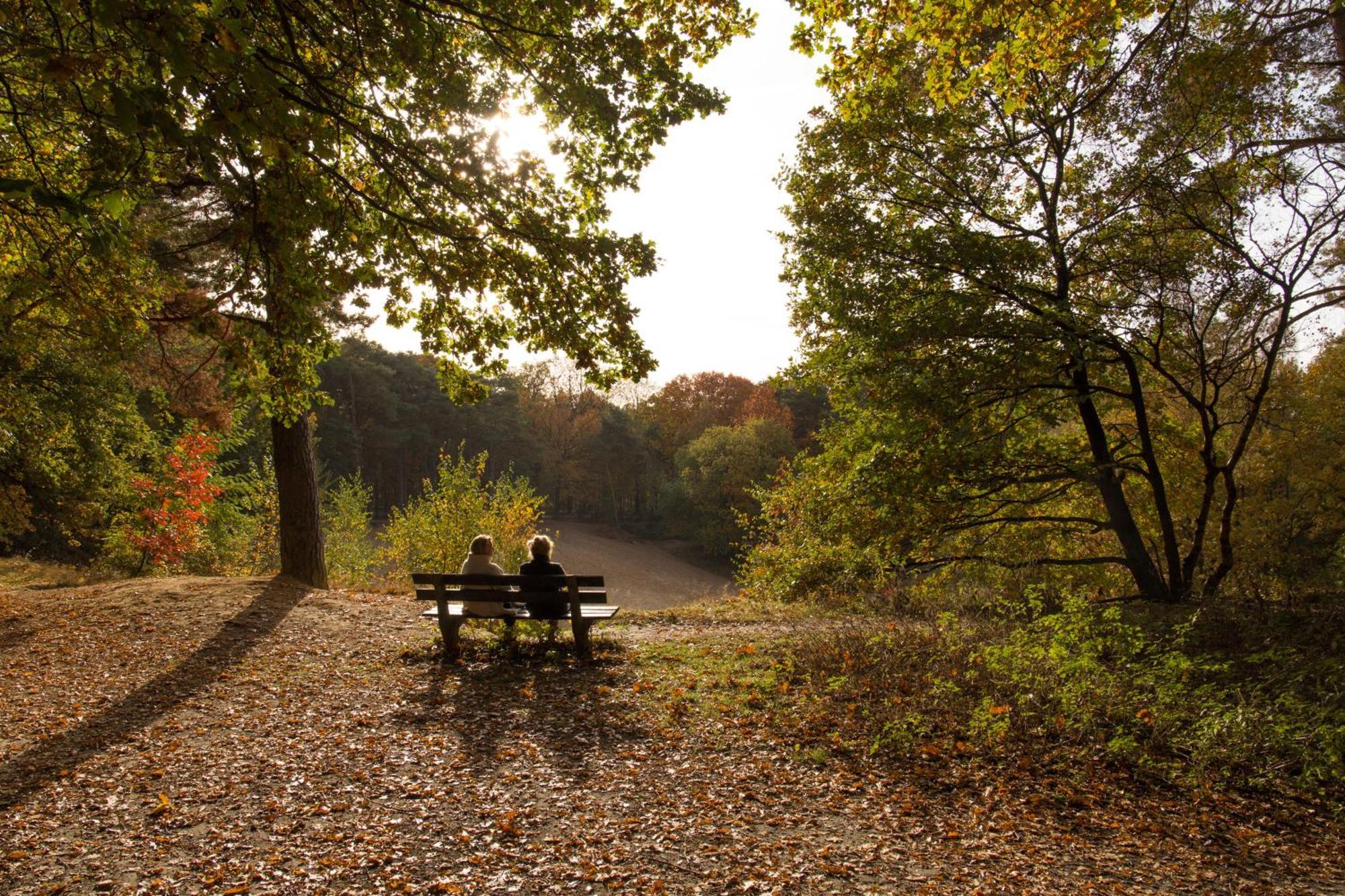 Molecaten Park De Leemkule 하텀 외부 사진
