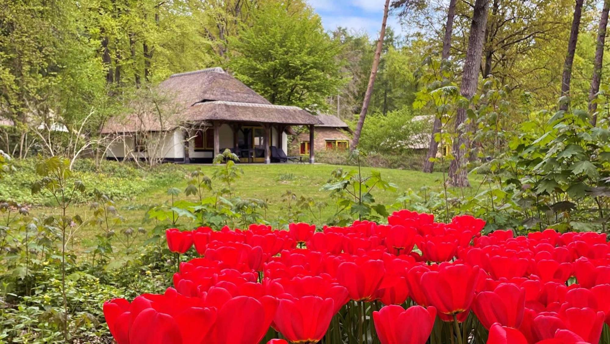 Molecaten Park De Leemkule 하텀 객실 사진