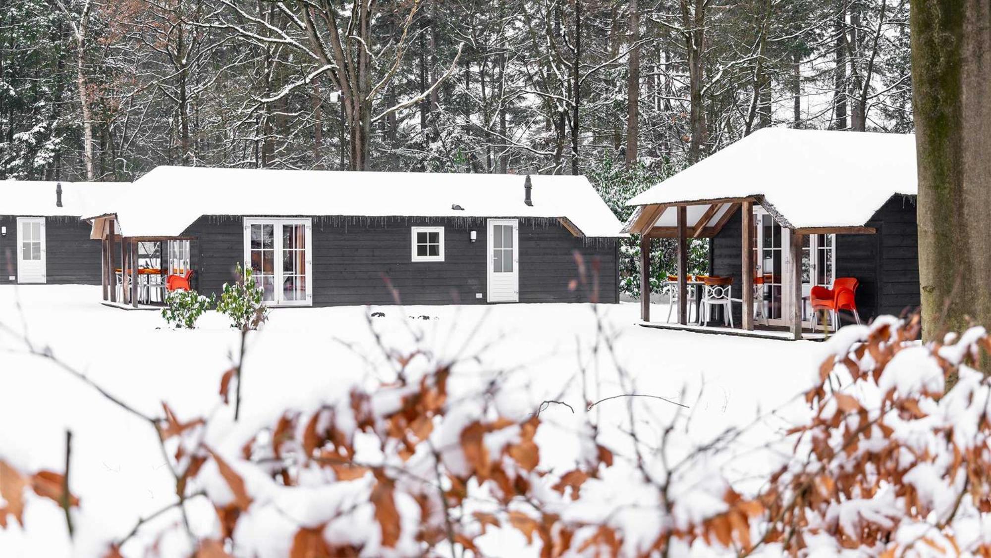 Molecaten Park De Leemkule 하텀 객실 사진