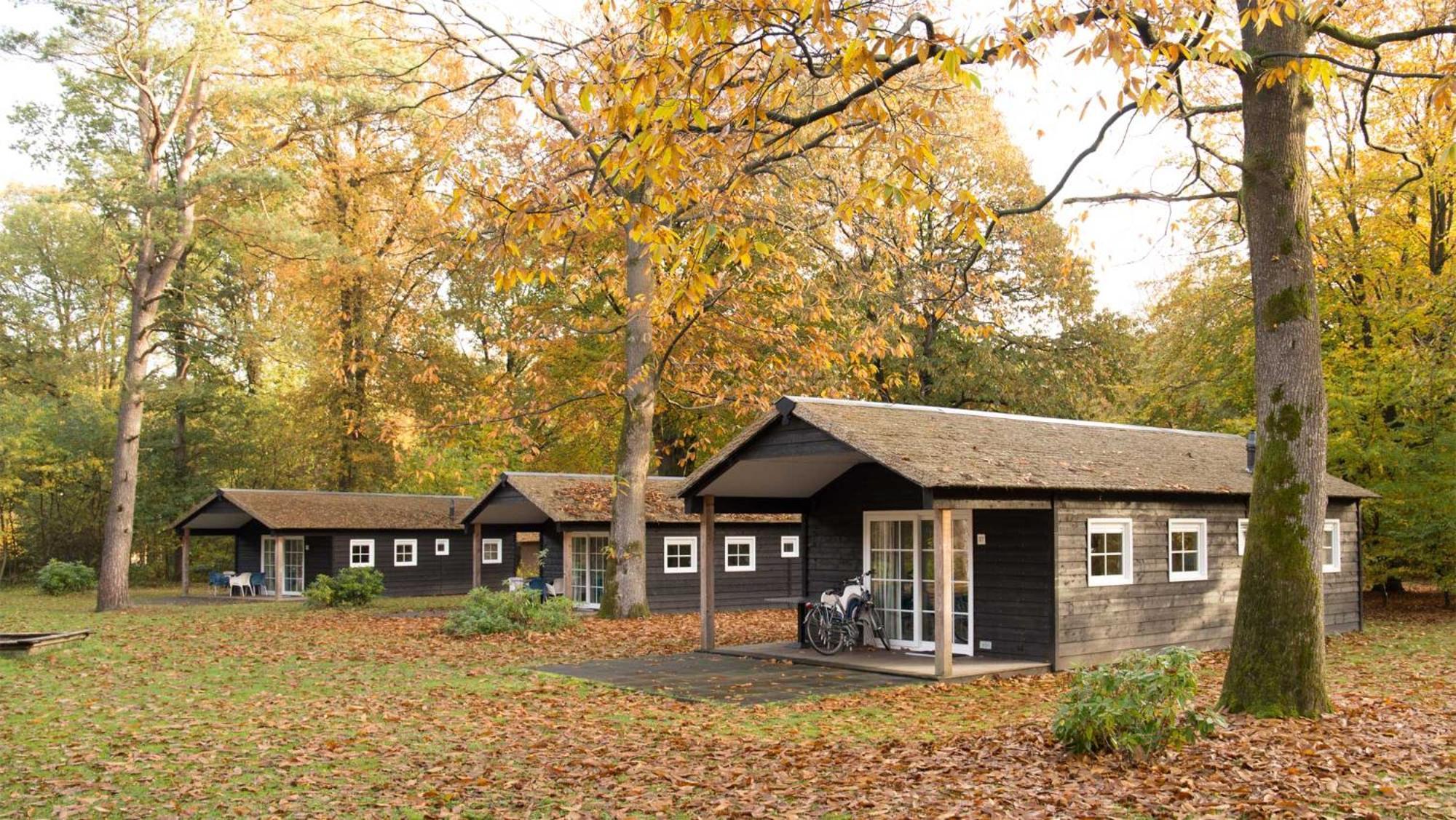 Molecaten Park De Leemkule 하텀 객실 사진